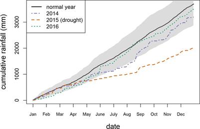 Topography and Traits Modulate Tree Performance and Drought Response in a Tropical Forest